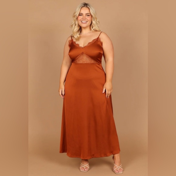 Petal & Pup / Ariel Dress - Rust
Satin Sheen Feel Lace Midi Dress - Picture 15 of 16